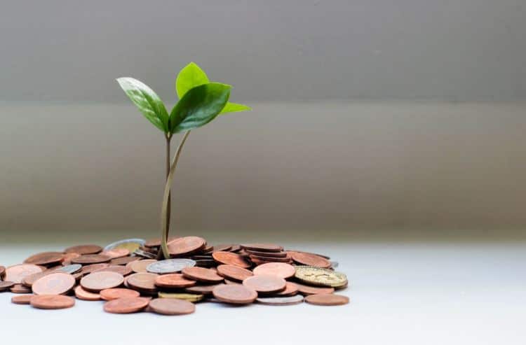 Are There Financial Advisors or Experts Who Specialize in Guiding Individuals Toward Financial Independence?