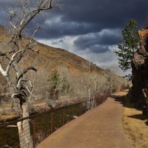 Photo Golden handcuffs