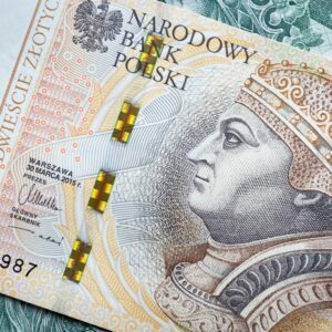 Photo Financial Infographic