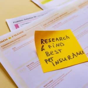 Photo Insurance policy