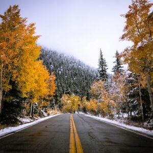 Photo Financial Independence